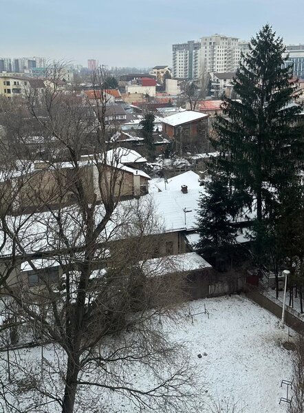 Ion Mihalache, 1 Mai, Clabucet